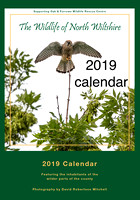 2019 Wildlife Calendar - A3 size